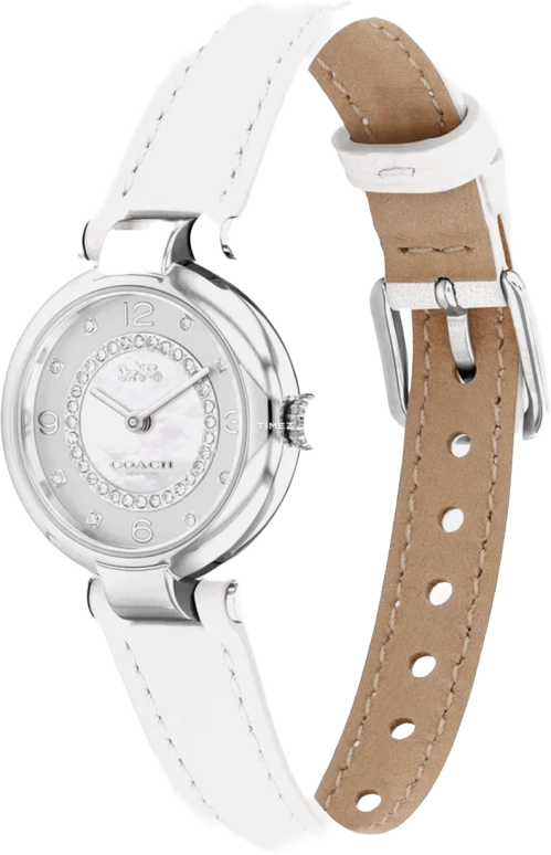 COACH Cary 14503893