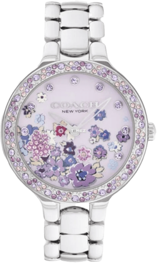 COACH Chelsea 14504499