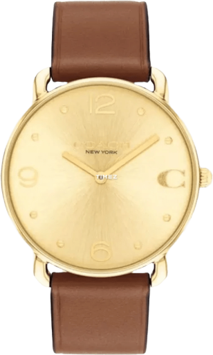 COACH Elliot 14504201