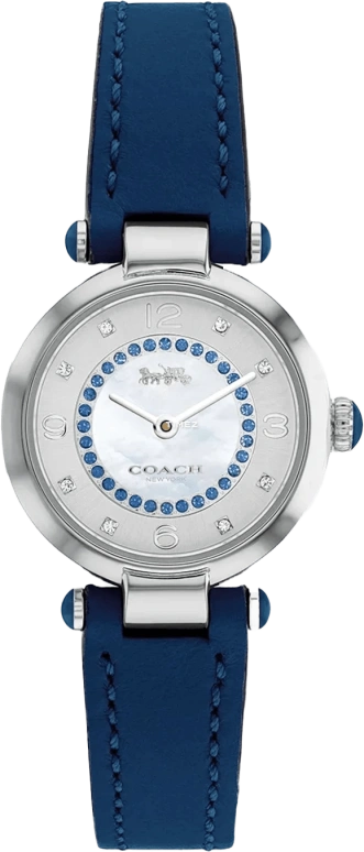 COACH Cary 14503937