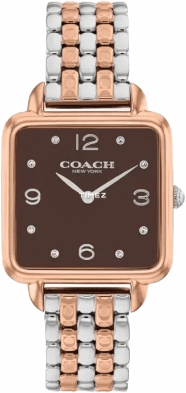 COACH Cass 14504543