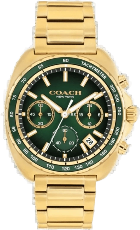 COACH Charter 14602738