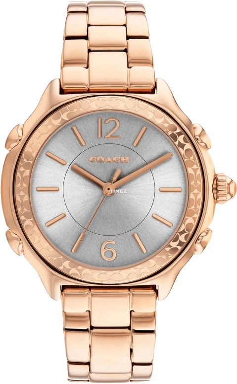 COACH Suzie 14503963