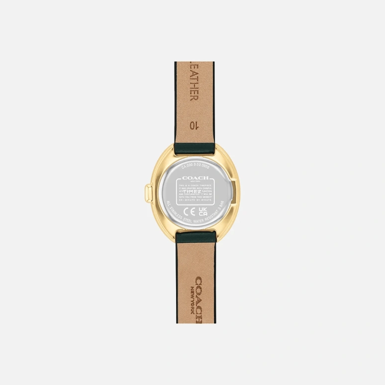 COACH,Sammy 22mm,22mm,Stainless Steel,Green,Quartz,Hardlex,Oval,14504425