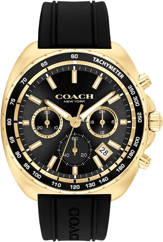 COACH Charter 14602708