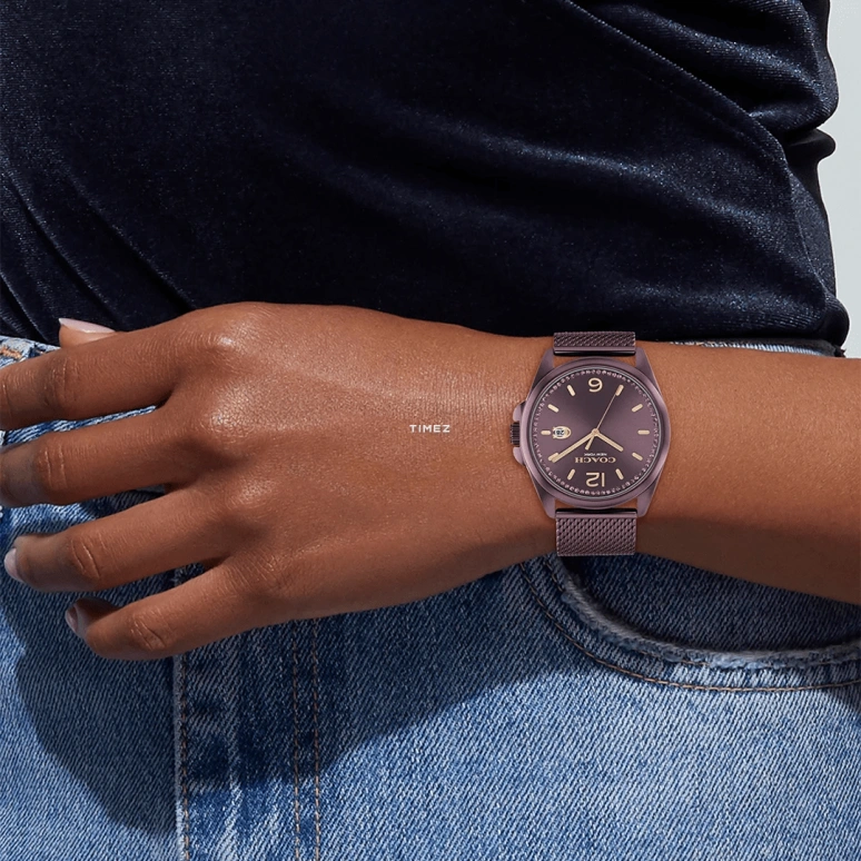 COACH,Greyson 41mm,41mm,Ceramic,Purple,Quartz,Day,Hardlex,14504252