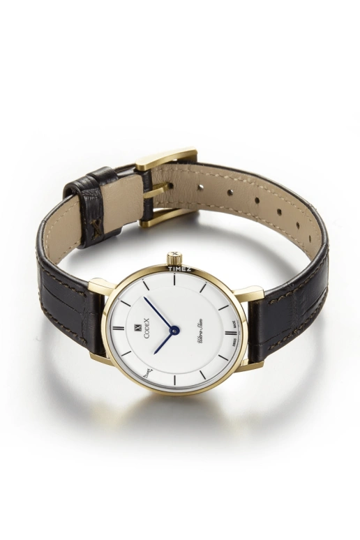 CODEX,CHAPEL 29mm,29mm,Stainless Steel,Stainless Steel,Silver White,Quartz,Sapphire,Glass,Round,5801,5801.04.0102.I05