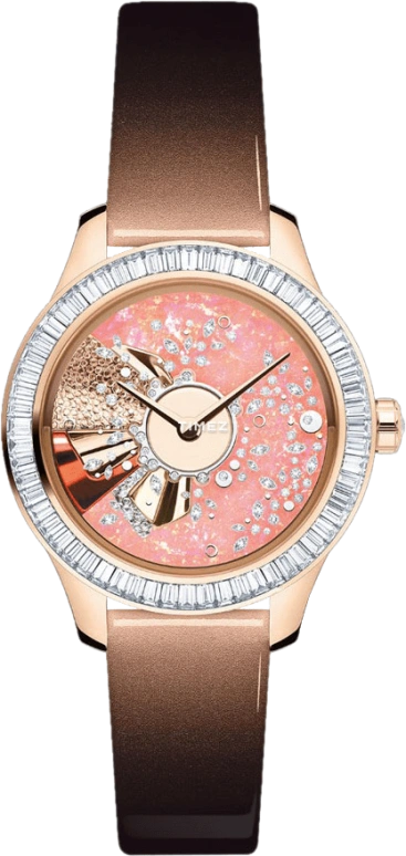 Dior High Timepieces CD153B7ZA005 0000
