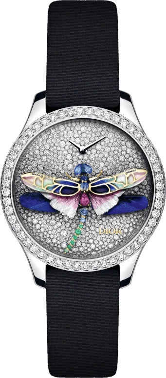 Dior High Timepieces CD13316X1056
