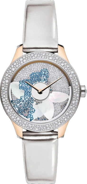 Dior High Timepieces CD153BIZA005 0000