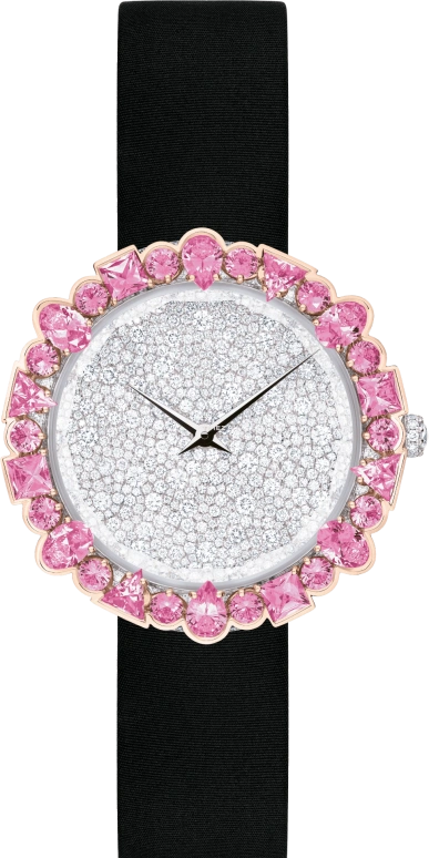 Dior High Timepieces CD0431I1A001