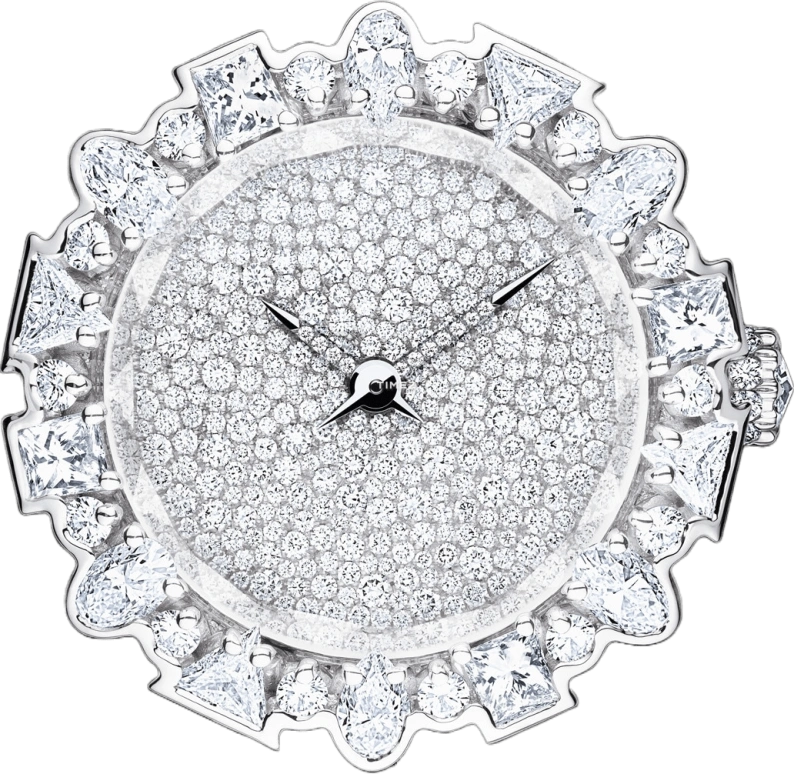 Dior High Timepieces CD04116X1001