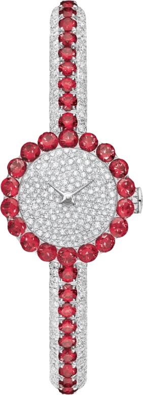 Dior High Timepieces CD04016BM001