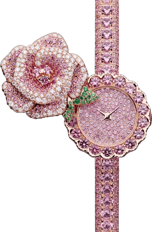 Dior High Timepieces CD04017X1005