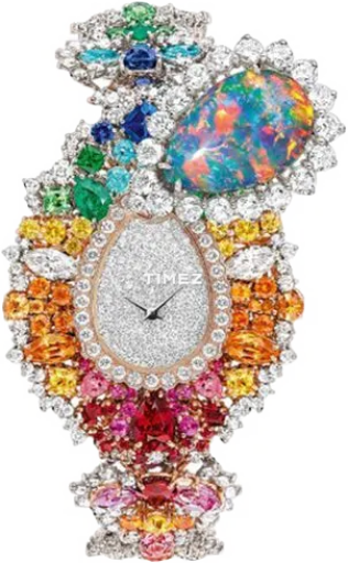 dior-watch dior-watch- 