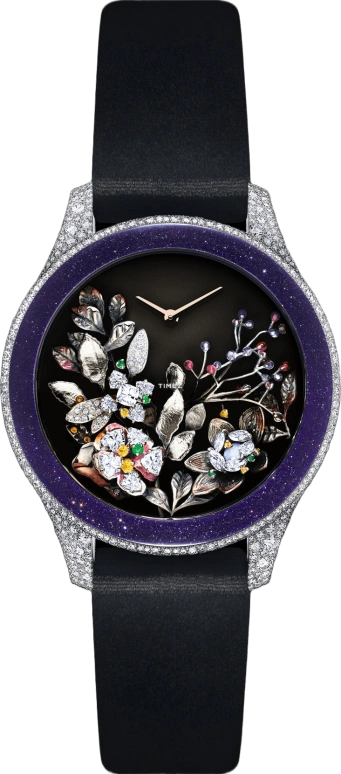 Dior High Timepieces CD13316X1005