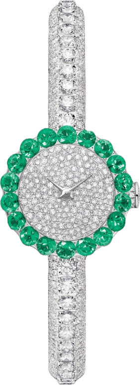 Dior High Timepieces CD040169M001 0000