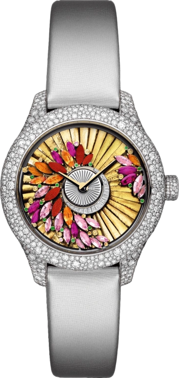 Dior High Timepieces CD153B6X1020