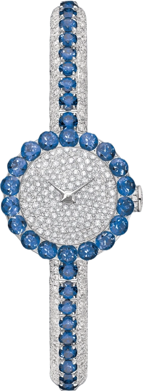 Dior High Timepieces CD04016DM001 0000