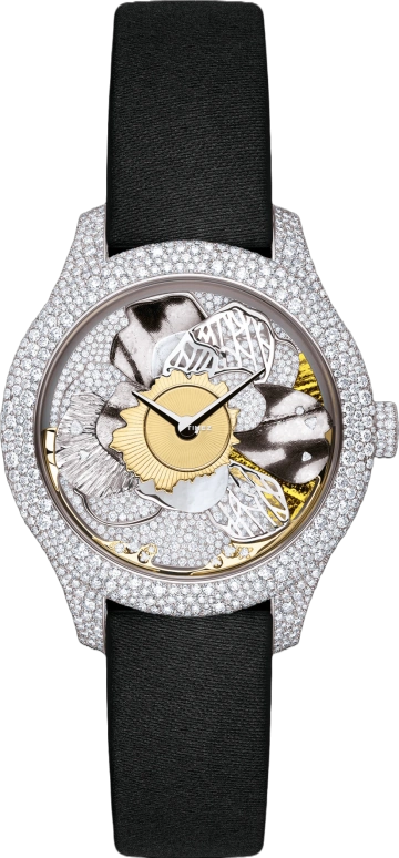 Dior High Timepieces CD153B6ZA034 0000