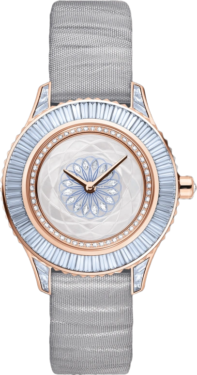 Dior High Timepieces CD13357ZA001 0000