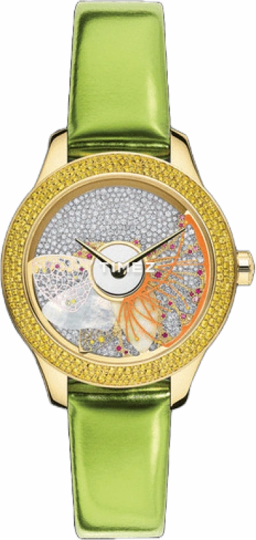 Dior Other CD153B5ZA003 0000