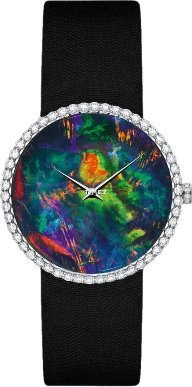 Dior High Timepieces CD043561A001 0000