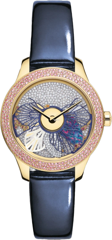 Dior High Timepieces CD153B5ZA004 0000