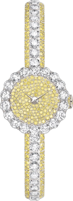Dior High Timepieces CD040165M001 0000