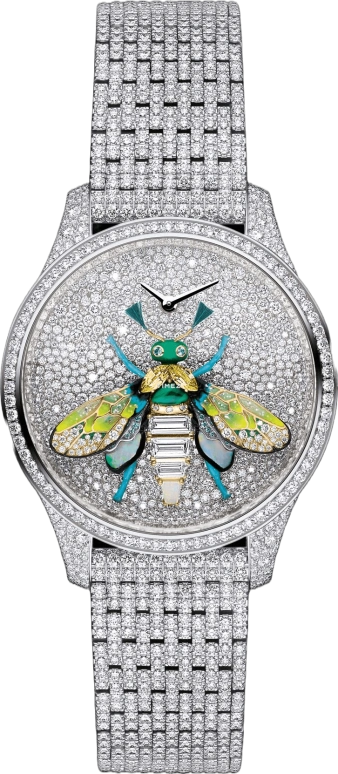 Dior High Timepieces CD13316X1116