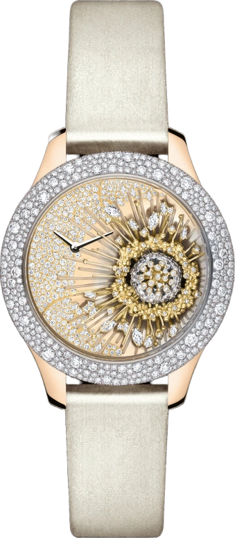 Dior High Timepieces CD13411ZA001 0000