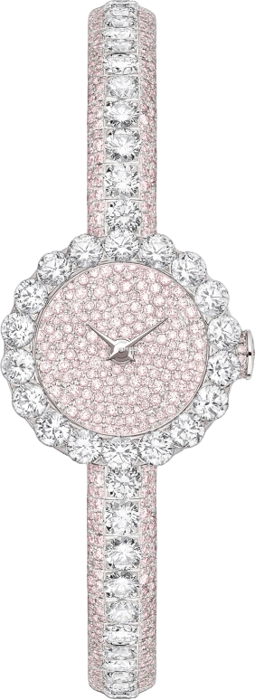 Dior High Timepieces CD040166M001 0000