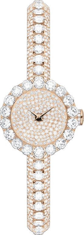 Dior High Timepieces CD040177M001 0000