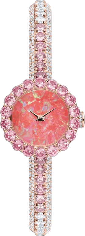 Dior High Timepieces CD040174M001 0000