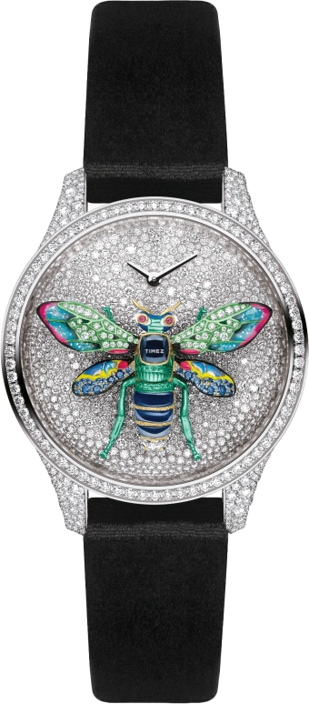 Dior High Timepieces CD13416ZA040