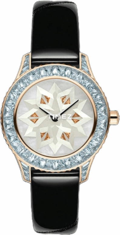 Dior High Timepieces CD13357ZA005 0000