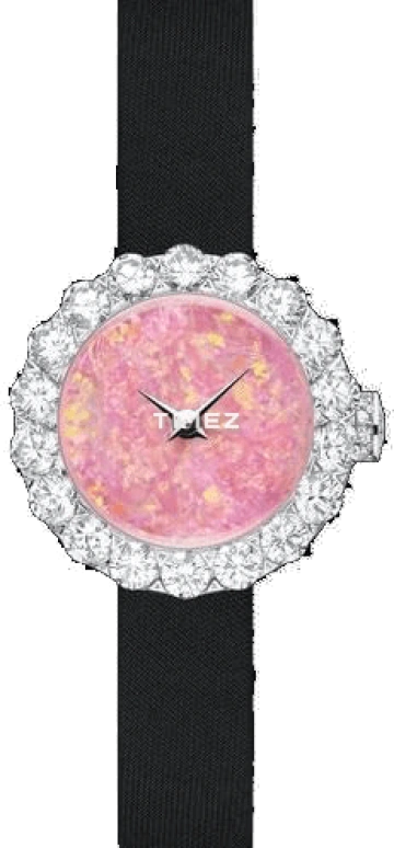 Dior High Timepieces CD040164A001