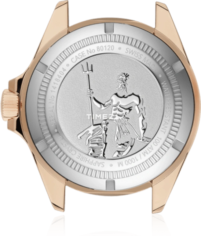 EDOX,Neptunian 44mm,44mm,Stainless Steel,Black,Automatic,Day,41hours,80120,80120-37RNNCA-NIR