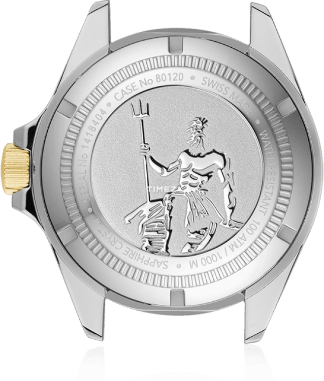 EDOX,Neptunian 44mm,44mm,Stainless Steel,Silver,Automatic,Day,41hours,80120,80120-357JM-AID