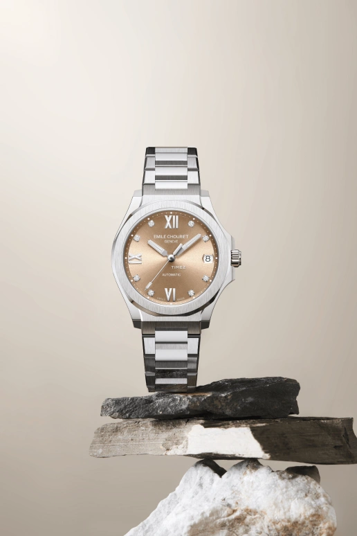 Emile Chouriet,CHALLENGER 33mm,33mm,Stainless Steel,Brown,Automatic,Day,40hours,01,01.1172.L.6.6.36.6