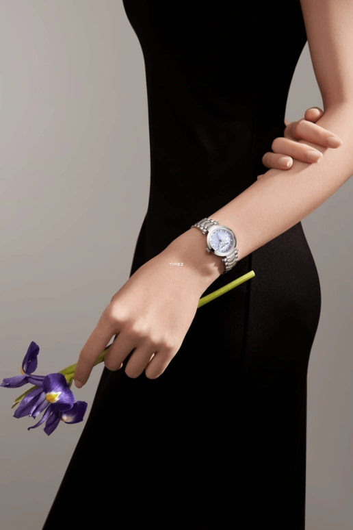 Emile Chouriet,FAIR LADY 29.20mm,29.20mm,Stainless Steel,Blue,Automatic,Sapphire,Crystal Glass,Round,06,06.2188.L.6.6.879.6