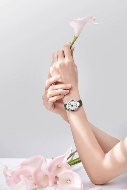 Emile Chouriet,FAIR LADY 29.20mm,29.20mm,Stainless Steel,Silver,Automatic,Sapphire,Crystal Glass,Round,06,06.2188.L.6.6.244.2