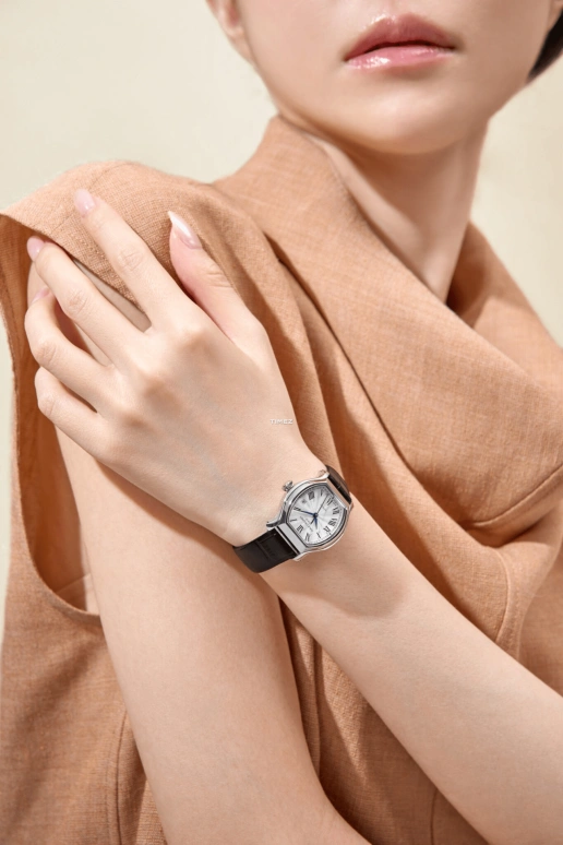 Emile Chouriet,CONTEMPORARY LUXURY 27x27.80mm,27x27.80mm,Stainless Steel,Silver,Automatic,Day,45hours,19,19.1136.L.6.6.25.2