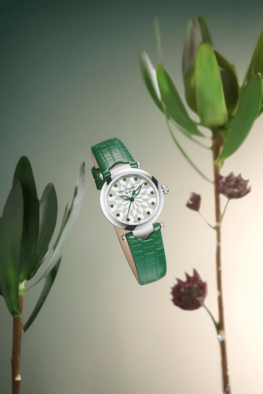 Emile Chouriet,FAIR LADY 29.20mm,29.20mm,Stainless Steel,Silver,Automatic,Sapphire,Crystal Glass,Round,06,06.2188.L.6.6.244.2