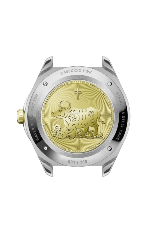 FIYTA,Pray 42mm,42mm,Stainless Steel,Silver,Grey,Automatic,Moonphase,Day,GA888000,GA888000.TWT