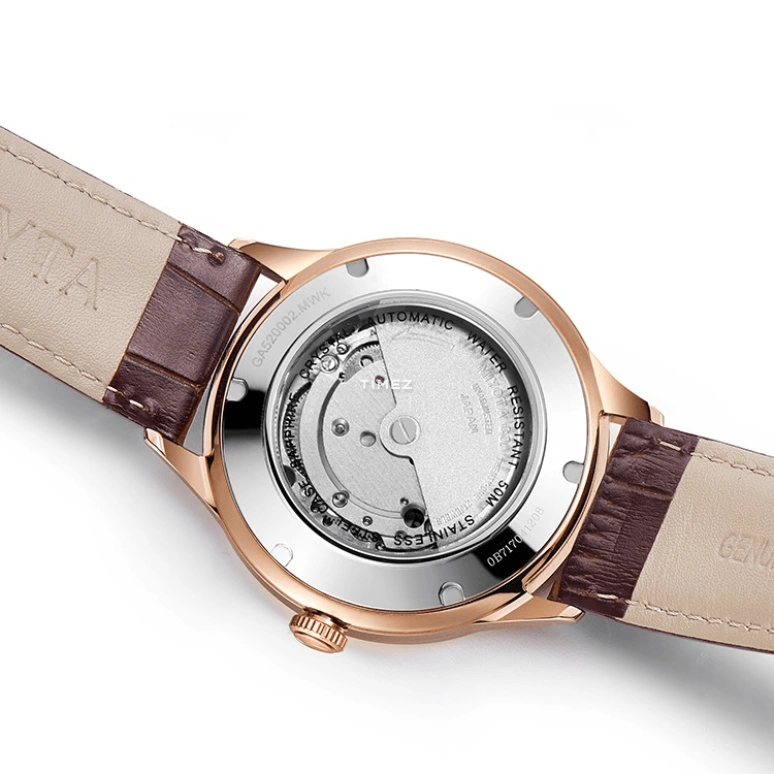 FIYTA,Tempting 41mm,41mm,Stainless Steel,Rose Gold,White,Automatic,Day,Sapphire,GA520002,GA520002.MWK