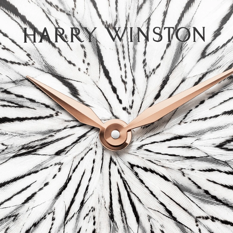 Harry Winston,The Premier 36mm,36mm,Rose Gold,Gold,Quartz,In-house Caliber,Closed,PRNQHM36RR004