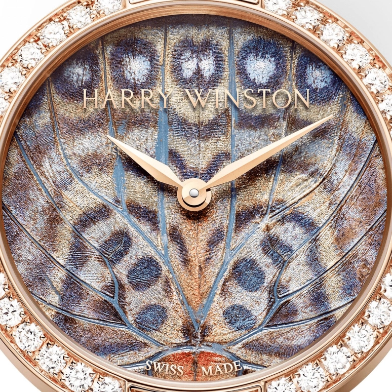 Harry Winston,The Premier 36mm,36mm,Rose Gold,Gold,Automatic,In-house Caliber,Open,PRNAHM36RR007
