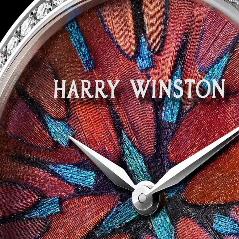 Harry Winston,The Premier 36mm,36mm,Gold,White Gold,Quartz,In-house Caliber,Closed,PRNQHM36WW008