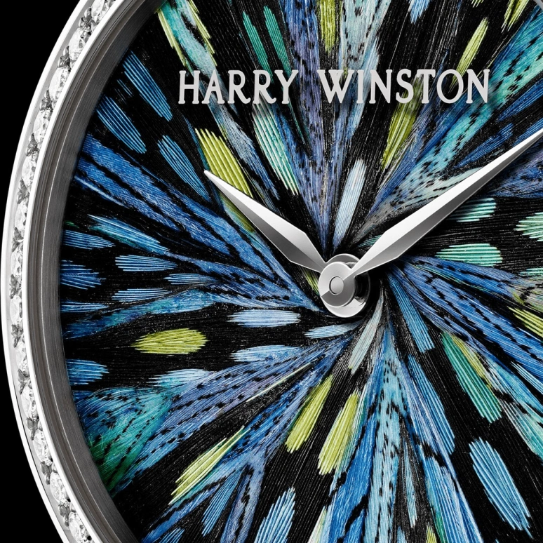 Harry Winston,The Premier 36mm,36mm,Gold,White Gold,Quartz,In-house Caliber,Closed,PRNQHM36WW010